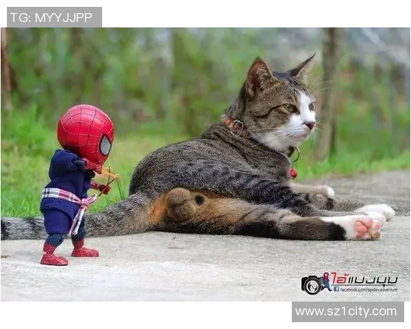 足球明星与他的猫咪日常生活的温馨故事分享